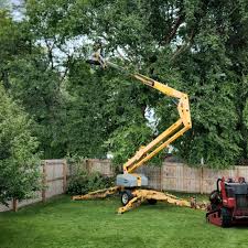 Professional Tree Services in Troy, MO